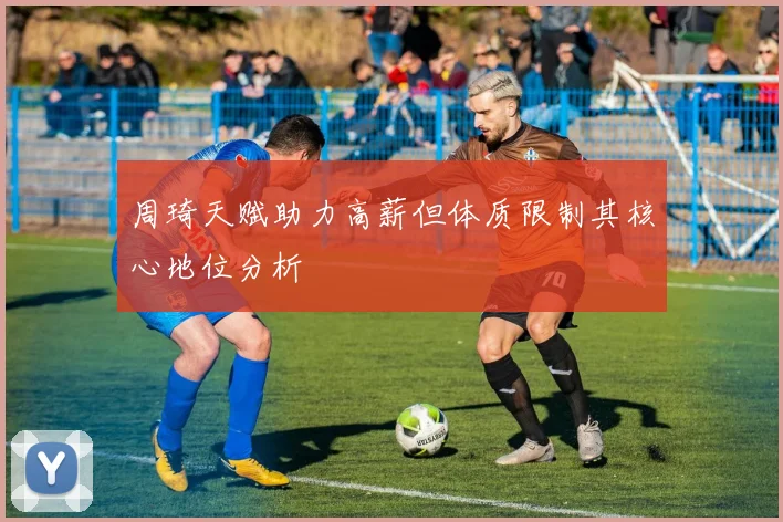 周琦天赋助力高薪但体质限制其核心地位分析