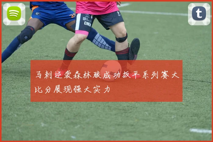马刺逆袭森林狼成功扳平系列赛大比分展现强大实力